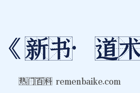 《新书·道术是什么意思的图片